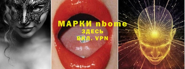 индика Ступино